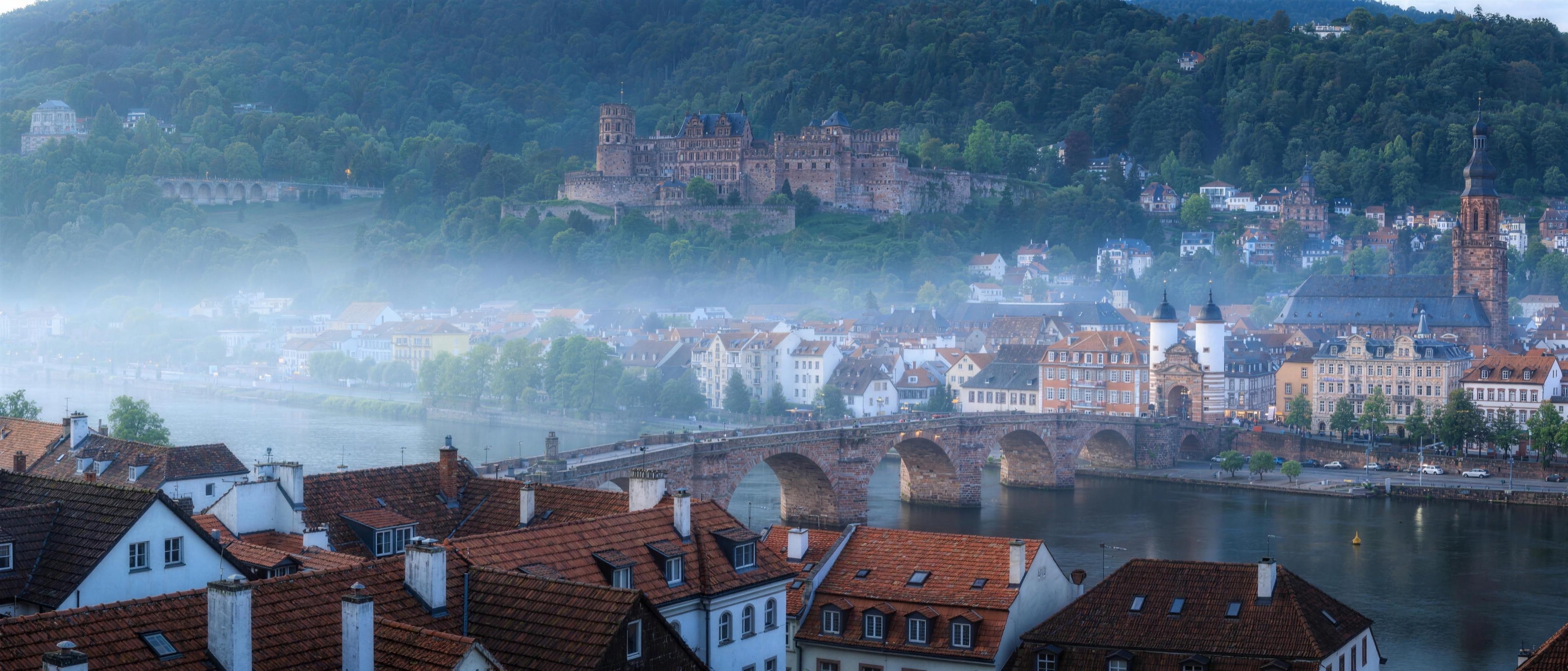 Blick über die Heidelberger Altstadt mit Schloss und Alter Brücke am Morgen
